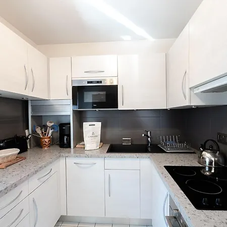 3 Etoiles Pour 6 Personnes Avec Garage Et Balcon A - Fr-1-343-170 * 샤모니